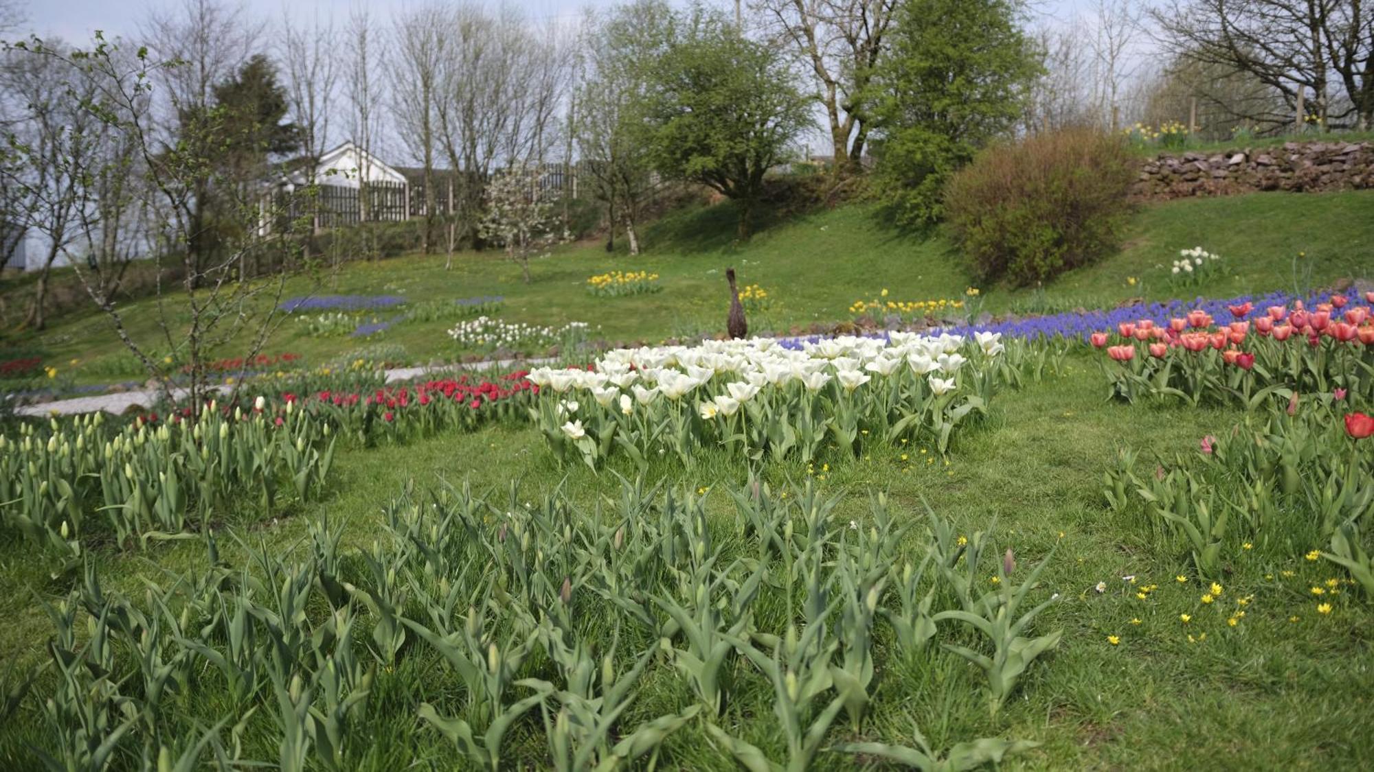 Rowrah Hall Arlecdon Bagian luar foto
