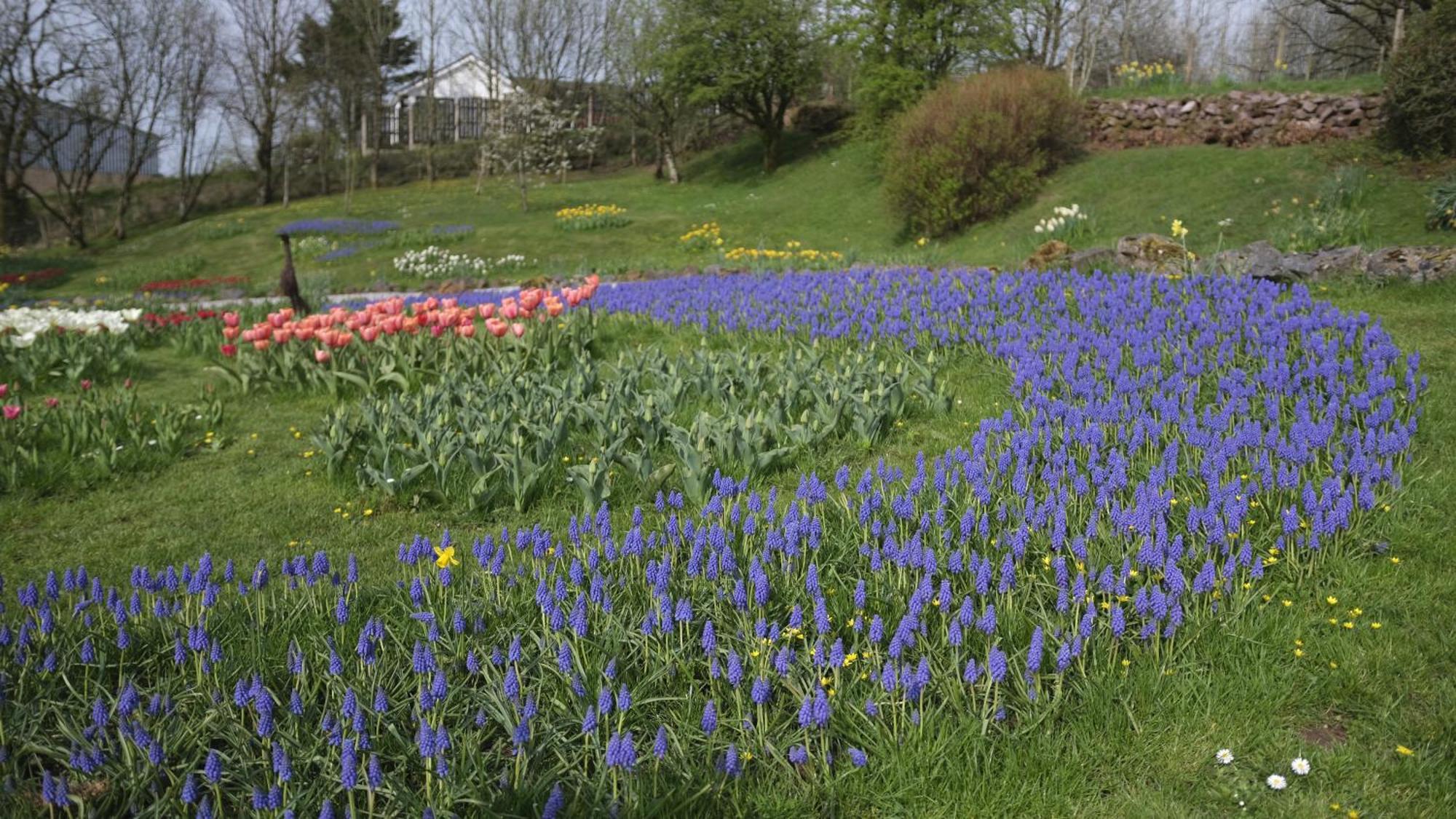 Rowrah Hall Arlecdon Bagian luar foto